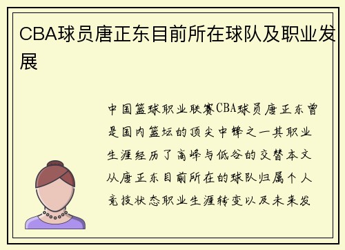 CBA球员唐正东目前所在球队及职业发展