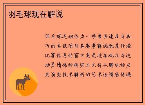 羽毛球现在解说